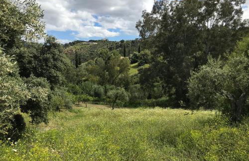 Studio Views Apartment, Cortijo Fruitful Hills - Photo 45