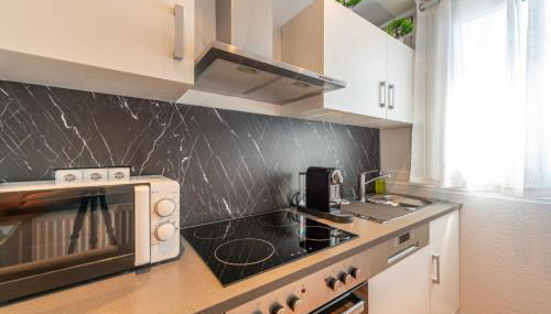 GREAT PLACE Penthouse Stuttgart Airport Messe Parkplatz Heimkino - Foto 5, stove, dishwasher, toaster