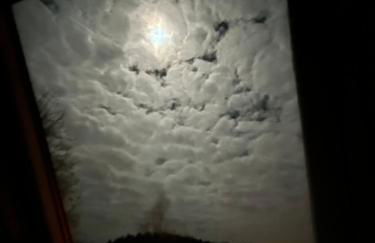 Pia's Nature Retreat - Foto 110