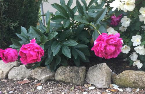 1 chambre 1 cuisine & salle d'eau privées avec piscine et jacuzzi - Foto 26