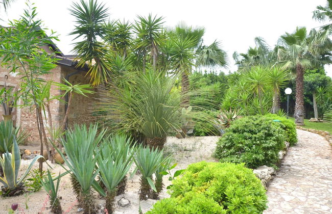 Masseria Pisciani - Photo 60