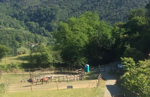 Appartamento Armonia - Foto 8