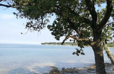 Santa Marina - Foto 21