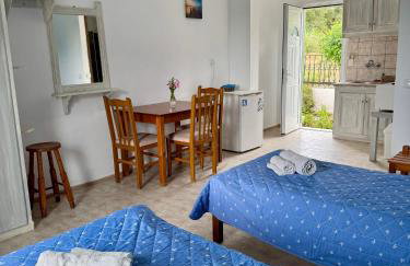 Irene Studios - Foto 17