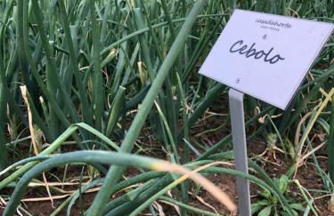 Casa da Horta - Foto 55