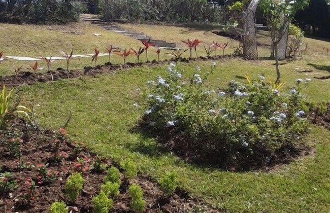 Pondbottom Apartment Hotel - Foto 19