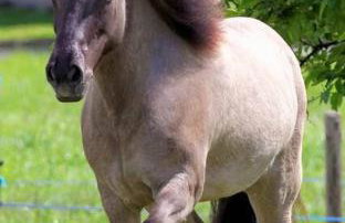 RELAX CHALET Nature Retreat - isolé sur 3 hectares - confort de LUXE - maison entière 150m2 - près de La Bresse - Foto 40