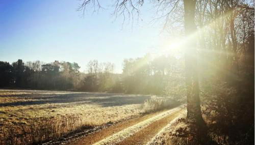 Romantikferienhaus am Schlösschen - Sauna, Kamin & Seenlandschaft nahe Berlin - Foto 4