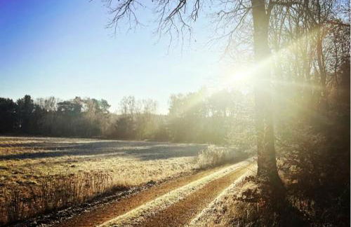 Romantikferienhaus am Schlösschen - Sauna, Kamin & Seenlandschaft nahe Berlin - Foto 4