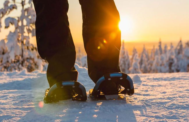 Delicias con Raquetas de Nieve - Desde Ylläs - Foto 1