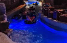 Location grand MH proche europa park 4 personnes - Foto 34