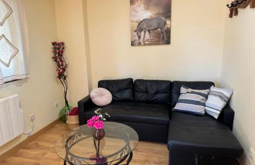 Apartamentos Sanabria - Foto 6