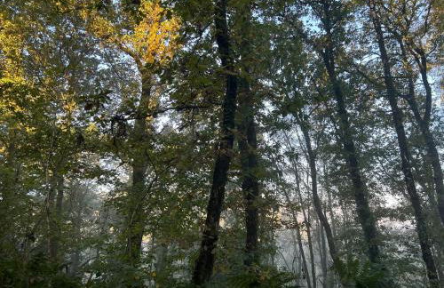 1 Woodlands - Photo 57