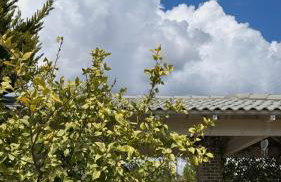 Villa Spartandom - Photo 13