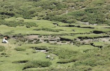 Résidence de Tourisme Mare e Macchia - Foto 42