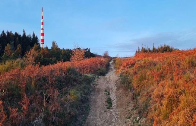 Villa in Mazamet With Private Pool - Foto 54