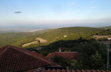 Olympus Serenity House - Photo 25