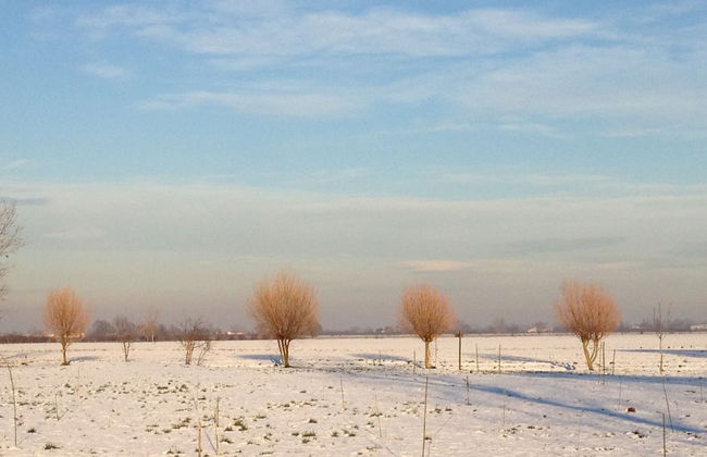 Apartment in Pontecchio With Pool & Tennis - Foto 40