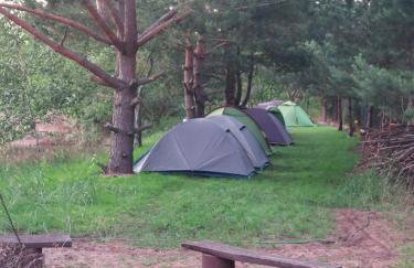 Agroturystyka Leśna Malinka - Foto 13