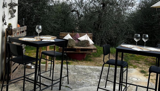 Winery Tour & Tasting in Pisa Countryside - Photo 5