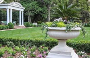 2 BR in Myers Park with comfortable screened porch - Foto 43