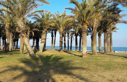 CABOMOLINOS, APARTAMENTO108 - Foto 37