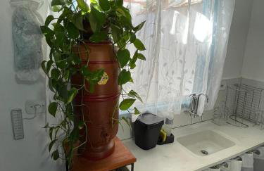 Casa em Paraty - Centro -RJ - Photo 13