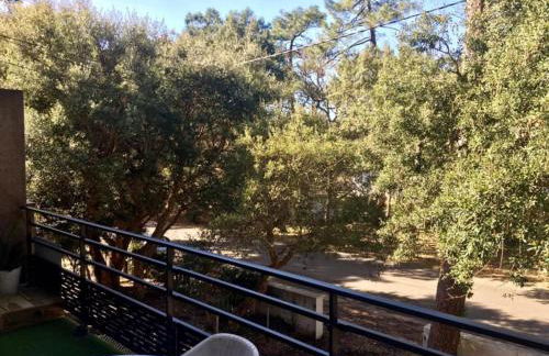 HOSSEGOR LA VIGIE entre lac et océan - Foto 14