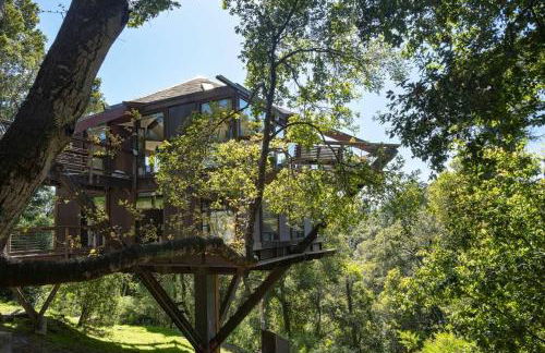 Peaceful Treehouse with Ocean View - Foto 75