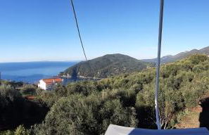 Olive Tree Apartments - Foto 26