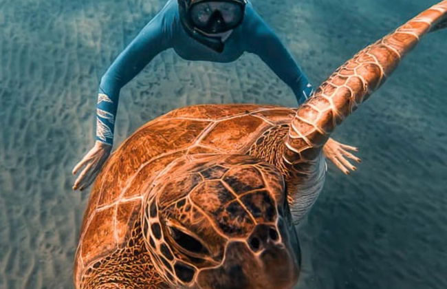 Yildiz Apart - Foto 38