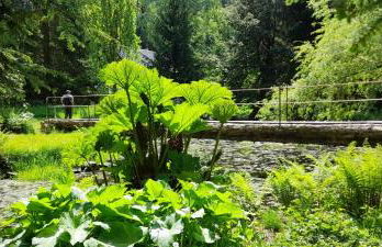 Rapunzel trifft Dornröschen - Foto 23