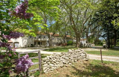 Mas 9 Romanin - Mas Provençal Familial - Foto 30