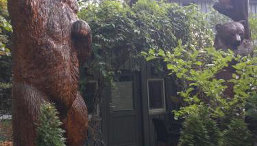 Bärenhöhle - Foto 2