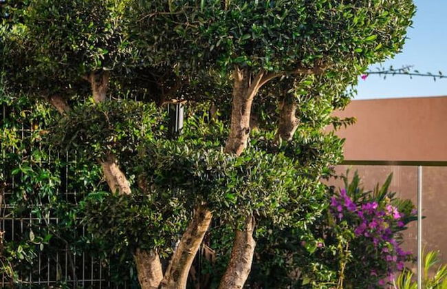 Golden Glow Villa Green Coast - Foto 35