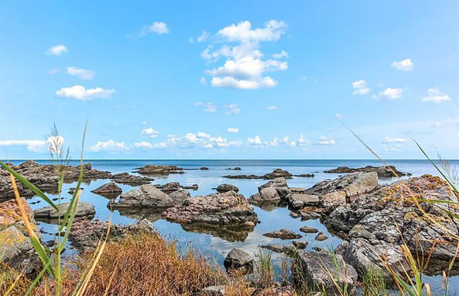 "Nyyrikki" - 100m from the sea - Foto 28