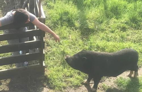 Casa Do Palheiro - Photo 46