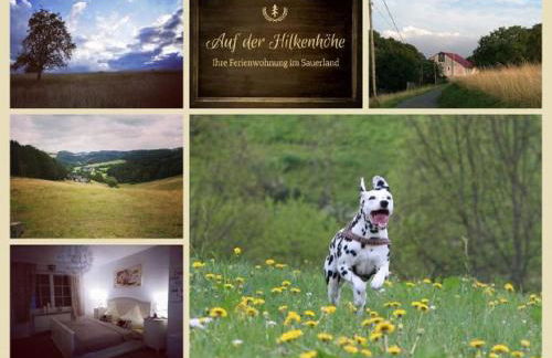 Ferienwohnung auf der Hilkenhöhe - Foto 1