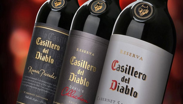 Visite viticole de Concha y Toro - Photo 4