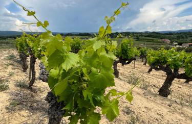 Mont Ventoux-Chateau Gipieres app nr 9 - Foto 24
