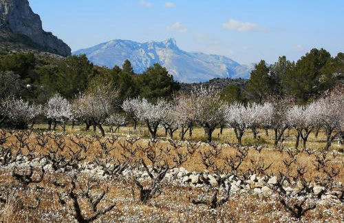 La Madrugada - Luxury Moraira Villa With Sea Views and Private Heated Pool - Foto 48