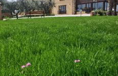 Azienda Agrituristica Baglio Carta - Foto 37