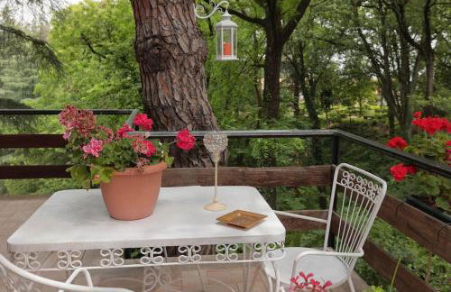 LA BARCA NEL FRUTTETO Natura e relax in collina - Foto 51