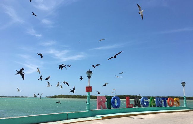 Paradiesische Tour: Las Coloradas Pink Lake und Rio Lagartos inklusive Mittagessen. - Foto 9