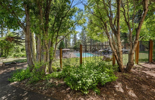 Enjoy Forest Views Retreat at Kingswood Village! - Photo 38