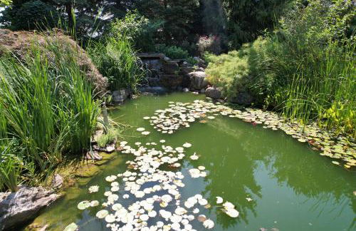 Charming School House with Large Pool - Foto 40