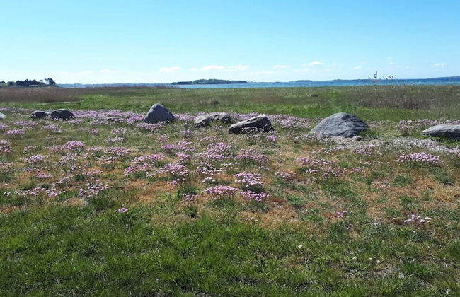 12 Person Holiday Home in Millinge - Foto 21