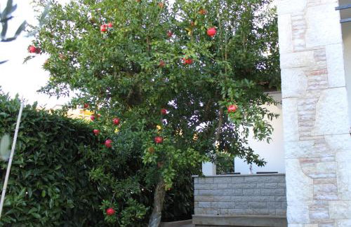 Apartments Nena - Photo 40