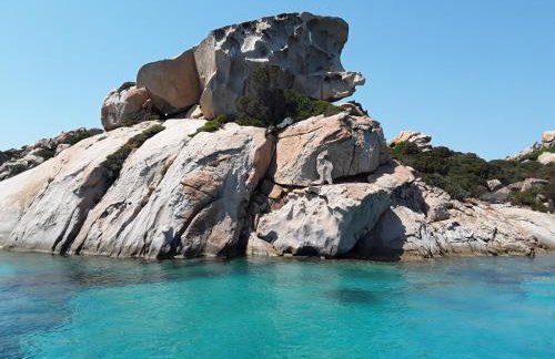 Casa Pineta - Foto 27