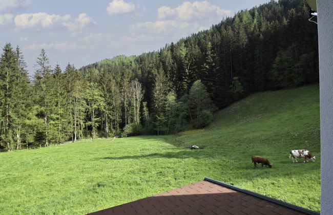 Krechen Alm - Foto 23